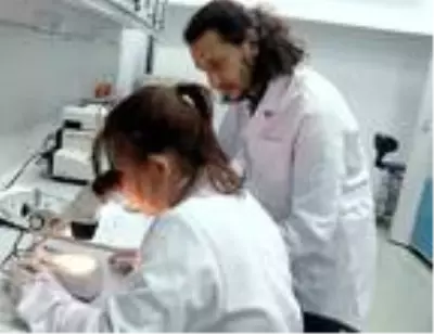 Psikiyatrik hastalıklarda da 'hedefe yönelik' ilaç devri başlıyor Psikiyatrik hastalıklarda da 'hedefe yönelik' ilaç devri başlıyor