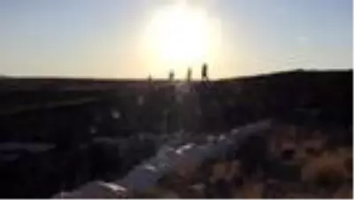 Suriye sınırındaki Oylum Höyük'te kazılar yeniden başladı Suriye sınırındaki Oylum Höyük'te kazılar yeniden başladı
