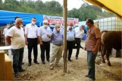Başkan Demirtaş: Başkan Demirtaş: