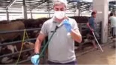 Son dakika haberleri... Boğalar bu timden kaçamayacak Son dakika haberleri... Boğalar bu timden kaçamayacak