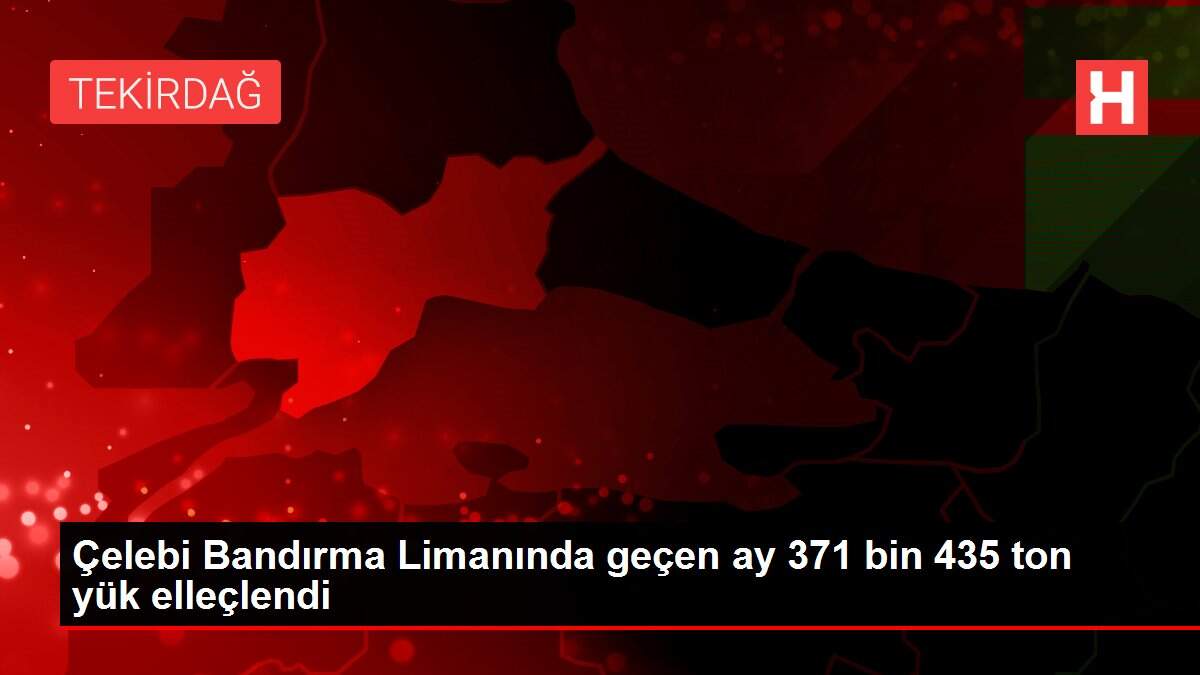 Çelebi Bandırma Limanında geçen ay 371 bin 435 ton yük elleçlendi