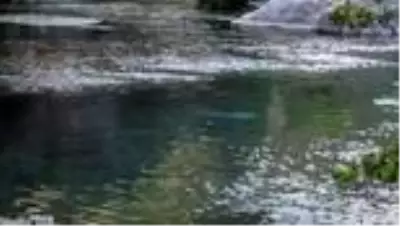 Dereye giren kişi boğuldu Dereye giren kişi boğuldu