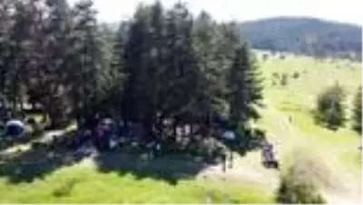 Kamp turizminin adresi Fındıklı Yaylası ziyaretçilerini bekliyor. Kamp turizminin adresi Fındıklı Yaylası ziyaretçilerini bekliyor.