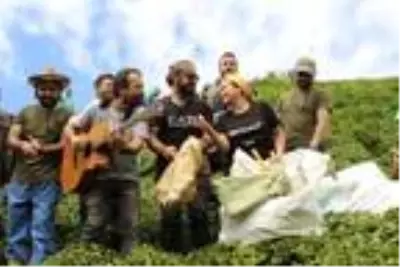 Sokak hayvanları için imece usulü çay hasadına sanatçı desteği Sokak hayvanları için imece usulü çay hasadına sanatçı desteği