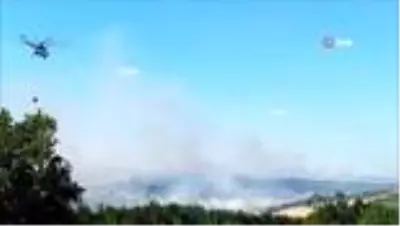 Tekirdağ'ın 2 ilçesinde orman yangını Tekirdağ'ın 2 ilçesinde orman yangını