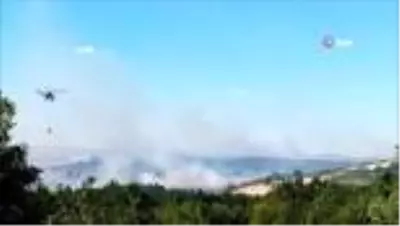 Tekirdağ'ın 2 ilçesinde orman yangını Tekirdağ'ın 2 ilçesinde orman yangını