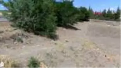 Zırhlı araç kazasında kaybolan altınların gizemi çözülemedi Zırhlı araç kazasında kaybolan altınların gizemi çözülemedi