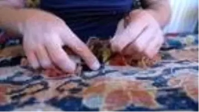 Dünyanın paha biçilemeyen tarihi halıları, yeniden hayat buluyor