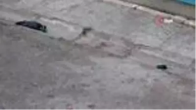 Hamile kadına maganda kurşunu Hamile kadına maganda kurşunu