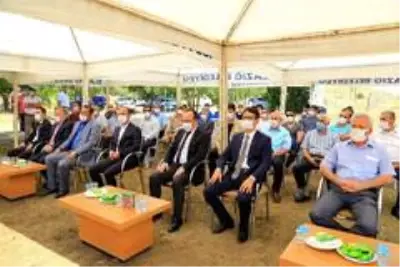 İlk defa üretimi yapılan 420 bin adet siraz balığı, Hazar Gölü'ne bırakıldı İlk defa üretimi yapılan 420 bin adet siraz balığı, Hazar Gölü'ne bırakıldı