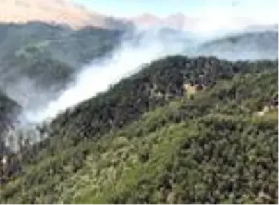 Isparta'da orman yangını Isparta'da orman yangını