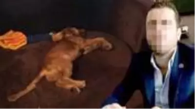 Komşusunun köpeğini tecavüz ederek öldüren zanlı tutuklandı Komşusunun köpeğini tecavüz ederek öldüren zanlı tutuklandı