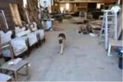 Köpeğin bulduğu kafatasının ardından bölgede bir de kemik parçasına rastlandı Köpeğin bulduğu kafatasının ardından bölgede bir de kemik parçasına rastlandı