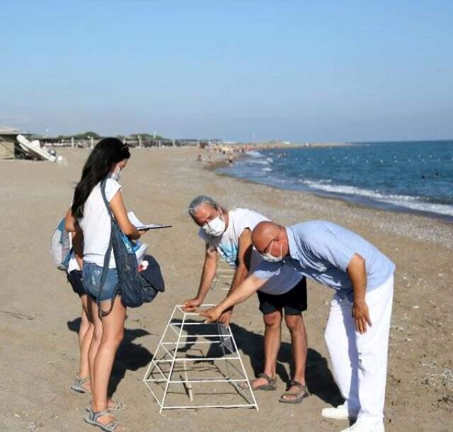 Korona sürecinde Antalya sahillerinde 'caretta caretta' yuvası üç kat arttı Korona sürecinde Antalya sahillerinde 'caretta caretta' yuvası üç kat arttı