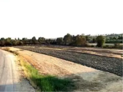 Seydikemer'de alevlerin arasında kalan kaplumbağa kurtarıldı Seydikemer'de alevlerin arasında kalan kaplumbağa kurtarıldı