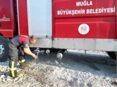 Seydikemer'de alevlerin arasında kalan kaplumbağa kurtarıldı Seydikemer'de alevlerin arasında kalan kaplumbağa kurtarıldı