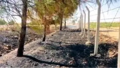 Sigara izmariti binlerce dönümlük araziyi yakacaktı Sigara izmariti binlerce dönümlük araziyi yakacaktı