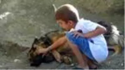 Yaraladığı köpeği serbest kalınca öldürdü, verdiği pişkin cevap sosyal medyada tepki çekti Yaraladığı köpeği serbest kalınca öldürdü, verdiği pişkin cevap sosyal medyada tepki çekti