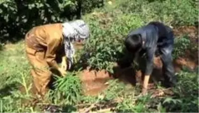 Yöresel elbiseli minik ellerden toprağa can suyu Yöresel elbiseli minik ellerden toprağa can suyu
