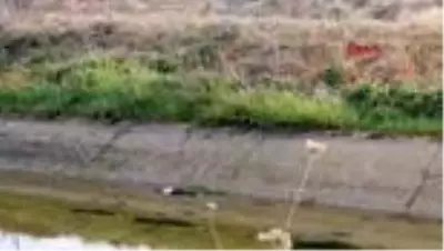 Köpeği kurtarmak için kanala atlayan gencin cansız bedeni bulundu Köpeği kurtarmak için kanala atlayan gencin cansız bedeni bulundu
