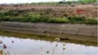 Köpeği kurtarmak için kanala atlayan gencin cansız bedeni bulundu Köpeği kurtarmak için kanala atlayan gencin cansız bedeni bulundu