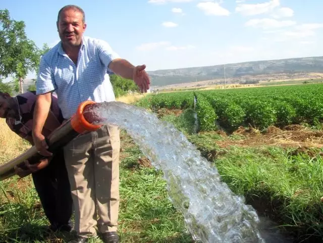 Araban Ovası'ndaki topraklar yarım asır sonra suya kavuştu Araban Ovası'ndaki topraklar yarım asır sonra suya kavuştu