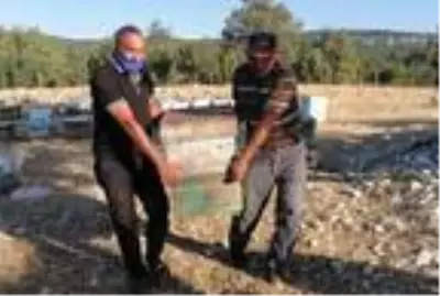 Arıları sinek ilacıyla öldürülüp balları çalınan üreticiler tepkili Arıları sinek ilacıyla öldürülüp balları çalınan üreticiler tepkili