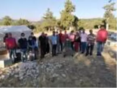 Arıları sinek ilacıyla öldürülüp balları çalınan üreticiler tepkili Arıları sinek ilacıyla öldürülüp balları çalınan üreticiler tepkili
