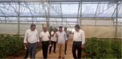 ATSO, Antalya'nın seracılık tecrübelerini Şırnak'a aktarıyor ATSO, Antalya'nın seracılık tecrübelerini Şırnak'a aktarıyor