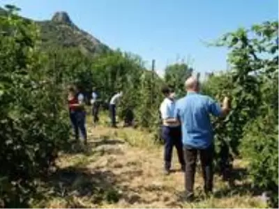 Eğirdir'de böğürtlen demonstrasyonu Eğirdir'de böğürtlen demonstrasyonu