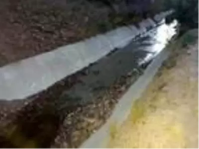 Gümüşhane'de balık ölümlerine dereye karışan 'siyanür' yol açmış Gümüşhane'de balık ölümlerine dereye karışan 'siyanür' yol açmış