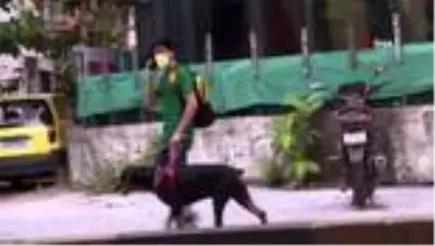 Hindistan'da koronavirüs kabusu! Bir günde 49 bin yeni vaka görüldü Hindistan'da koronavirüs kabusu! Bir günde 49 bin yeni vaka görüldü