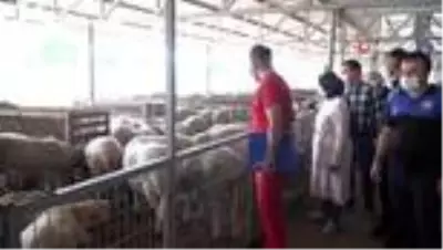 Kurban kesim yerlerine sıkı denetim Kurban kesim yerlerine sıkı denetim
