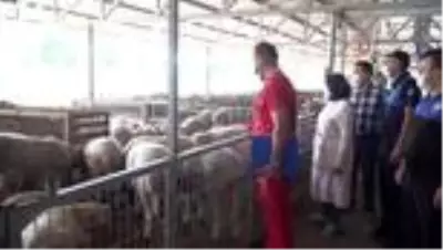 Kurban kesim yerlerine sıkı denetim Kurban kesim yerlerine sıkı denetim