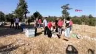 MERSİN Arıları sinek ilacıyla öldürülüp balları çalınan üreticiler tepkili MERSİN Arıları sinek ilacıyla öldürülüp balları çalınan üreticiler tepkili