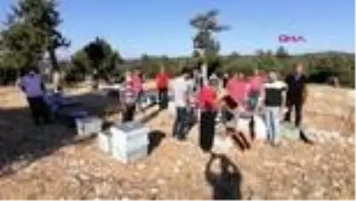 MERSİN Arıları sinek ilacıyla öldürülüp balları çalınan üreticiler tepkili MERSİN Arıları sinek ilacıyla öldürülüp balları çalınan üreticiler tepkili