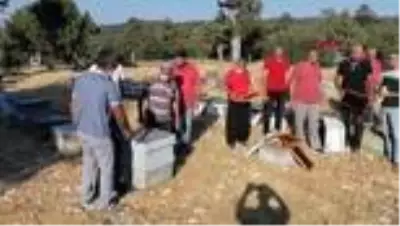 MERSİN Arıları sinek ilacıyla öldürülüp balları çalınan üreticiler tepkili MERSİN Arıları sinek ilacıyla öldürülüp balları çalınan üreticiler tepkili
