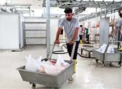 Mersin'de 24 mobil kesim ünitesi, 8 mezbaha hizmet verecek Mersin'de 24 mobil kesim ünitesi, 8 mezbaha hizmet verecek