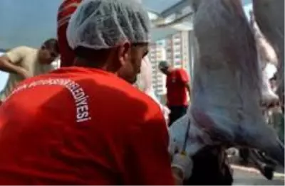Mersin'de 24 mobil kesim ünitesi, 8 mezbaha hizmet verecek Mersin'de 24 mobil kesim ünitesi, 8 mezbaha hizmet verecek