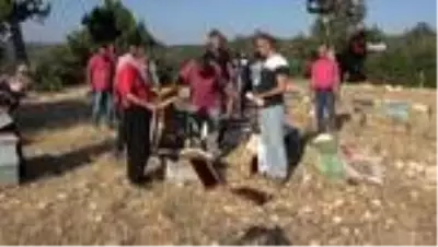 Mersin'de arı kovanlarına sinek ilaçlı saldırı Mersin'de arı kovanlarına sinek ilaçlı saldırı