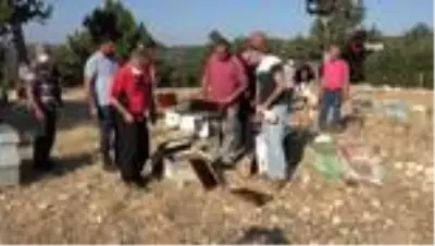 Mersin'de arı kovanlarına sinek ilaçlı saldırı Mersin'de arı kovanlarına sinek ilaçlı saldırı