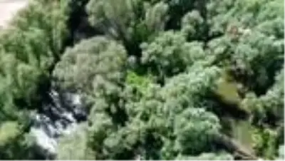 Nehrin ortasındaki adacığı zehir bahçesine çevirmişler Nehrin ortasındaki adacığı zehir bahçesine çevirmişler