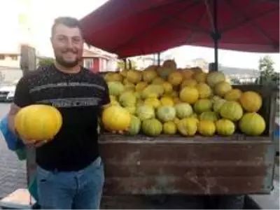 Sungulu'nun 10 dilim kavunu tezgahlarda yerini aldı Sungulu'nun 10 dilim kavunu tezgahlarda yerini aldı