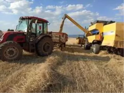 Eskişehir'de arpa, yulaf ve buğday üreticisi bu yılki hasattan umduğunu bulamadı Eskişehir'de arpa, yulaf ve buğday üreticisi bu yılki hasattan umduğunu bulamadı
