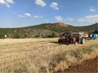 Umdukları hasadı yapamadılar Umdukları hasadı yapamadılar