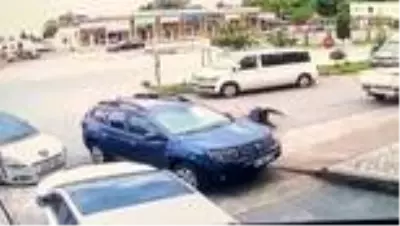 Araç park etme meselesi nedeniyle yaşanan cinayetin görüntüleri ortaya çıktı Araç park etme meselesi nedeniyle yaşanan cinayetin görüntüleri ortaya çıktı