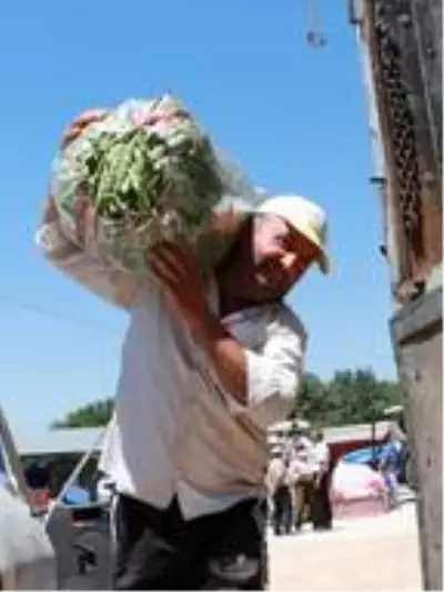 Burdurlu fasulye üreticisi verim kaybına rağmen fiyattan umutlu Burdurlu fasulye üreticisi verim kaybına rağmen fiyattan umutlu
