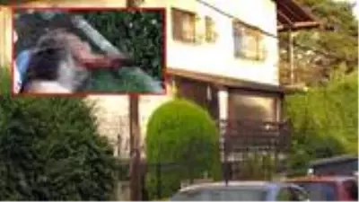 Eşini ısıran köpeği silahla vuran şahıs, gözaltına alındı Eşini ısıran köpeği silahla vuran şahıs, gözaltına alındı