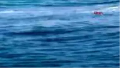 Fındık işçisi genci tatilciler kurtardı Fındık işçisi genci tatilciler kurtardı