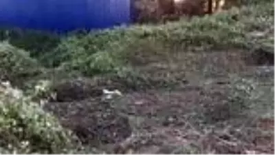 Hafif ticari araç yeni evli çifte çarptı: 1 ölü, 1 yaralı